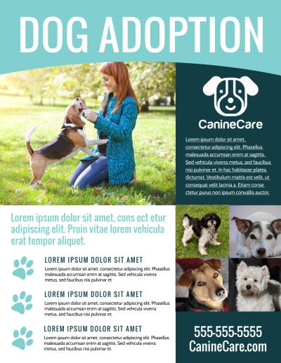 Dog Adoption   358ezj2jz3 Side 1 Image