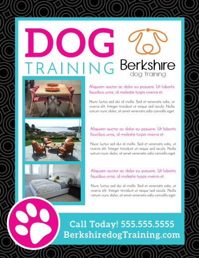 Dog Training   ogaz0fx73o Side 2 Image